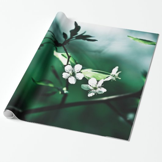 Weiße Kirschblüten Geschenkpapier (Ungerollt)