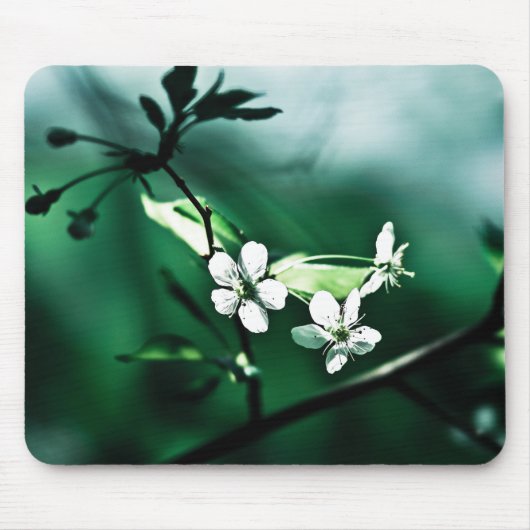 Weiße Kirschblüten Mousepad (Vorne)