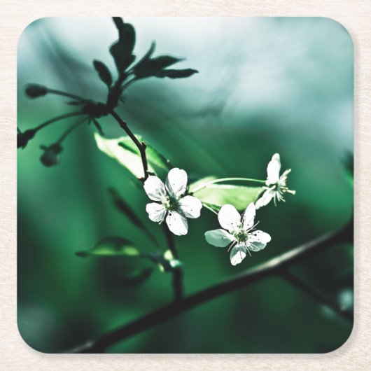 Weiße Kirschblüten Rechteckiger Pappuntersetzer (Vorderseite)