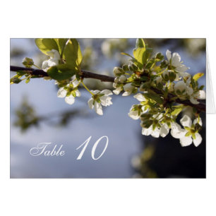 Weiße Kirschblüten-Tischnummernkarte.