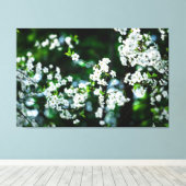 Weiße Kirsche blüht grüne Blätter Leinwanddruck (Insitu (Holzboden))