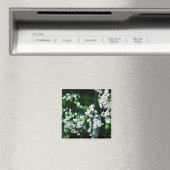 Weiße Kirsche blüht grüne Blätter Magnet (In Situ (Geschirrspüler))