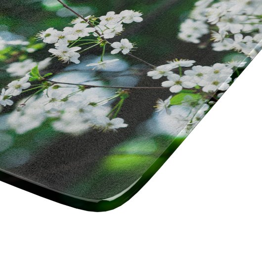 Weiße Kirsche blüht grüne Blätter Schneidebrett (Ecke)