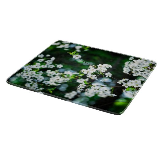 Weiße Kirsche blüht grüne Blätter Schneidebrett (Ecke)