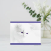 Weiße Kitte mit Lila Augen Postkarte (Stehend Vorderseite)