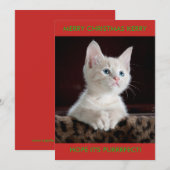 WEISSE KITTEN PERSONALISIERT FEIERTAGSKARTE (Vorne/Hinten)
