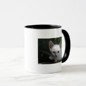 Weiße Kitty-Tasse Tasse (VorderseiteRechts)