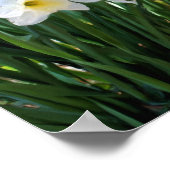 Weiße Kleiderstücke aus Bachölmalerei Poster (Ecke)