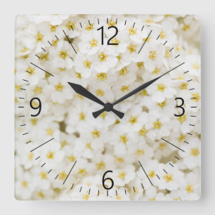 Weiße kleine Blume Quadratische Wanduhr