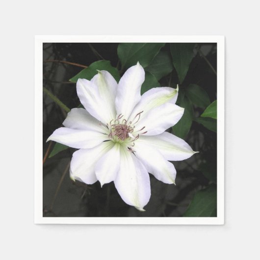 Weiße Klematisblüte Serviette (Vorderseite)