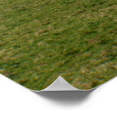 Weiße Klippen der Isle of Wight Poster (Ecke)