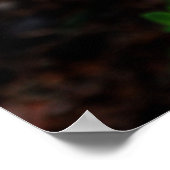 Weiße Kolumne mit Biene Poster (Ecke)