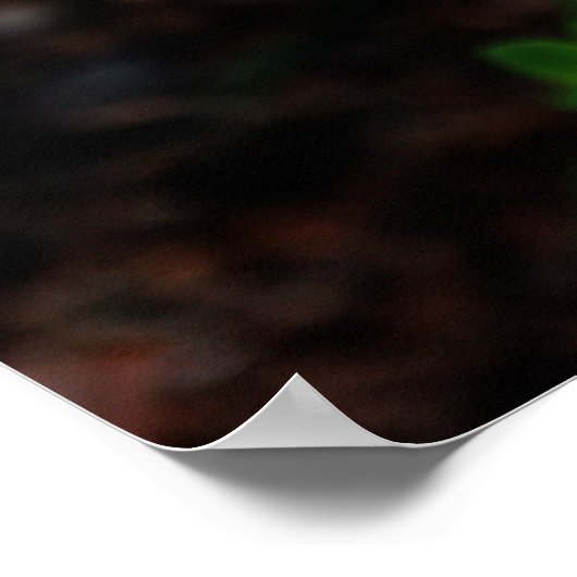 Weiße Kolumne mit Biene Poster (Ecke)