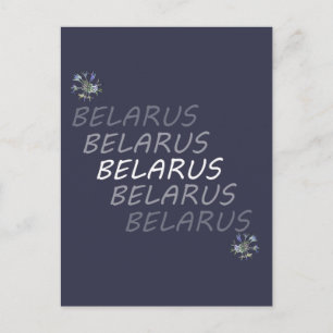 Weisse Kornblume Belarus Postkarte
