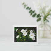 Weiße Kosmos-Blume, Mini-Foto Visitenkarte (Stehend Vorderseite)