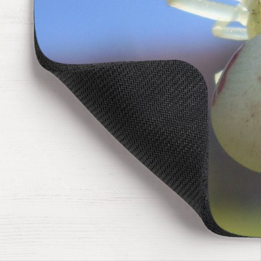 Weiße Krabentaube Mousepad (Ecke)