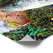 Weiße Krappie Poster (Ecke)