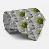 Weiße Krawatte Chrysanthemum (Gerollt)