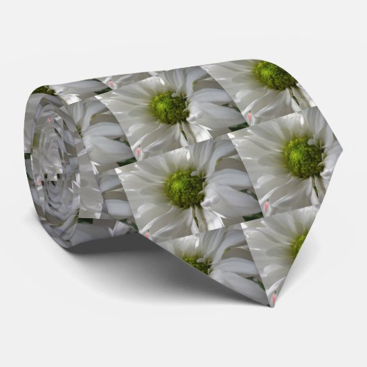 Weiße Krawatte Chrysanthemum (Gerollt)