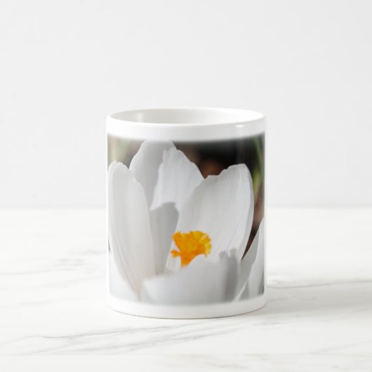 weiße Krokusblüte Kaffeetasse (Mittel)