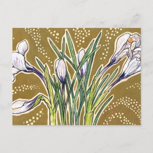 Weiße Krokusse Gartenblumen Botanische Blumenkunst Postkarte (Vorderseite)