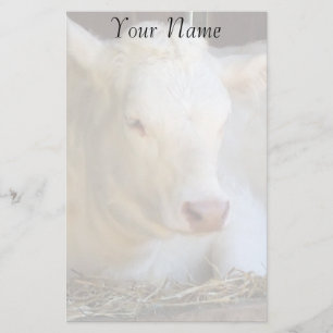 Weiße Kuh Briefpapier