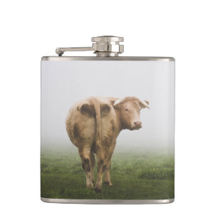 Weiße Kuh Bulle mit Blick zurück in ein Foggy Feld Flachmann