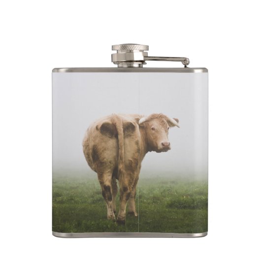 Weiße Kuh Bulle mit Blick zurück in ein Foggy Feld Flachmann (Rückseite)