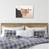 Weiße Kuh mit kleinen Vögeln hinten Leinwanddruck (Insitu (Schlafzimmer))