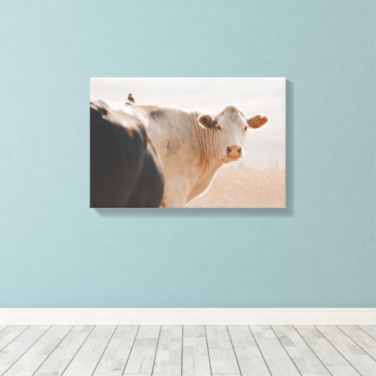 Weiße Kuh mit kleinen Vögeln hinten Leinwanddruck (Insitu (Holzboden))