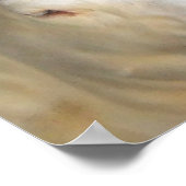 Weiße Kuh Poster (Ecke)