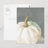 Weiße Kürbis im Bauernhof Postkarte (Vorne/Hinten)