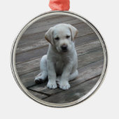 Weiße Labrador Silbernes Ornament (Vorne)