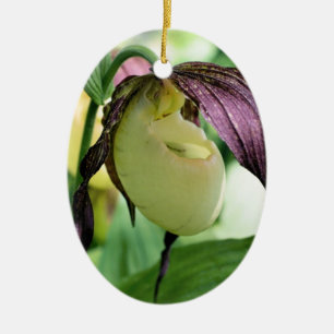 Weiße Lady Slipper Blume Ornament