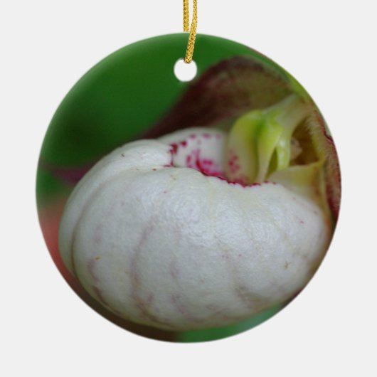 Weiße Lady Slipper Blume Ornament (Vorne)
