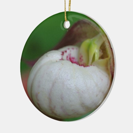 Weiße Lady Slipper Blume Ornament (Links)