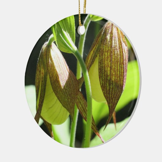 Weiße Lady Slipper Pair Blume Ornament (Links)