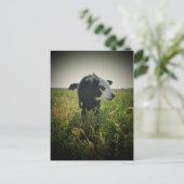 Weiße Landschaft Postkarte (Stehend Vorderseite)