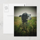 Weiße Landschaft Postkarte (Vorne/Hinten)