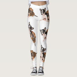 Weiße Leggings mit Chihuahua-Foto