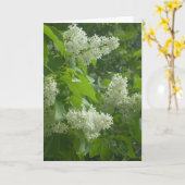 Weiße lila Karte (Gelbe Blume)