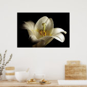 Weiße Lilie 2 Poster (Küche)