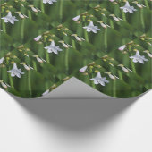 Weiße Lilie auf Grün Geschenkpapier (Ecke)