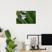 weiße Lilie auf grünem Hintergrund Poster (Heimbüro)