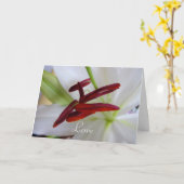 Weiße Lilie, Blume. Karte (Gelbe Blume)