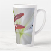 Weiße Lilie, Blume.Letzte Tasse (Rechts)