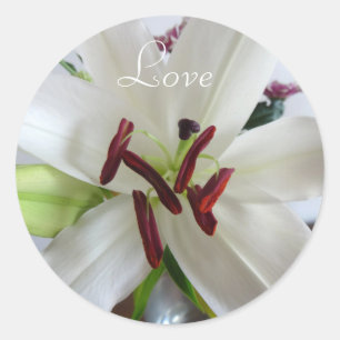 Weiße Lilie, Blume. Runder Aufkleber