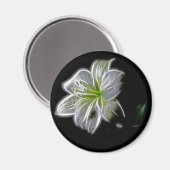 Weiße Lilie Blume Schönheit Magnet (Vorderseite/Rückseite)