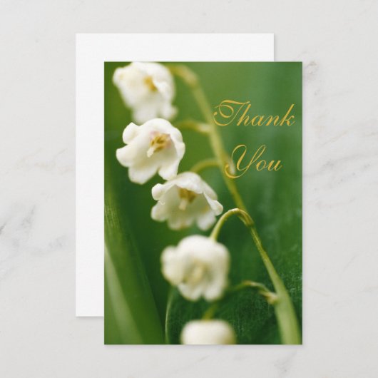 Weiße Lilie des Tals (Convallaria majalis) Dankeskarte (Vorne/Hinten)