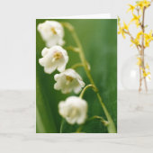 Weiße Lilie des Tals (Convallaria majalis) Karte (Gelbe Blume)